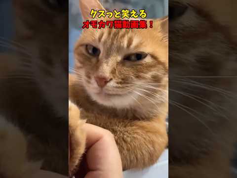 ムフフフフフ😏 サムネイル