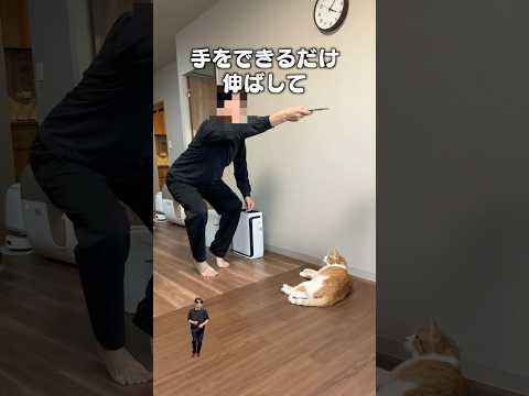 「シャッターチャンス」猫あるある|フルはApple Musicほか音楽アプリへ サムネイル