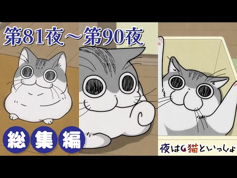 最新回まとめ！アニメ『夜は猫といっしょ』第81夜～90夜の癒し特集