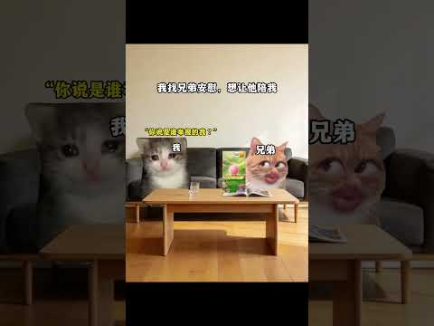 我有一个嫉妒我的兄弟 有趣 猫meme 猫meme剧场 猫meme小剧场 内容过于真实  故事 貓 猫猫meme小剧场… サムネイル
