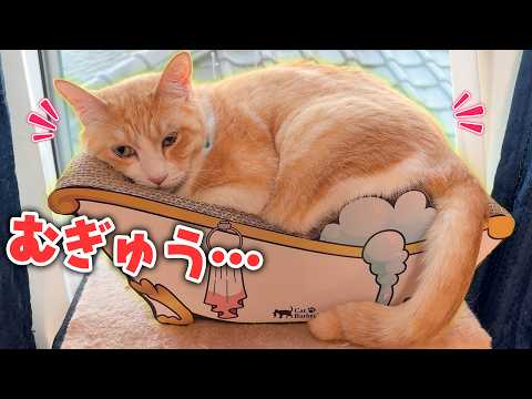 太りすぎた。