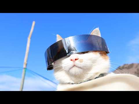 サイバーサングラス　ちろ　260220 サムネイル