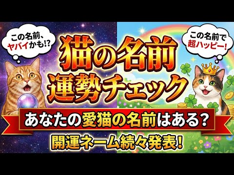 【愛猫の名前もきっとある⁉︎】~猫の名前の運勢チェック~“第１弾” サムネイル