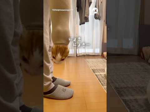 生まれてきてくれてありがとう｜PECO サムネイル