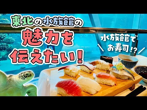 【週末おさかな部】ぬりえテーマ「東北のさかな」🎨🐟vol.172 サムネイル