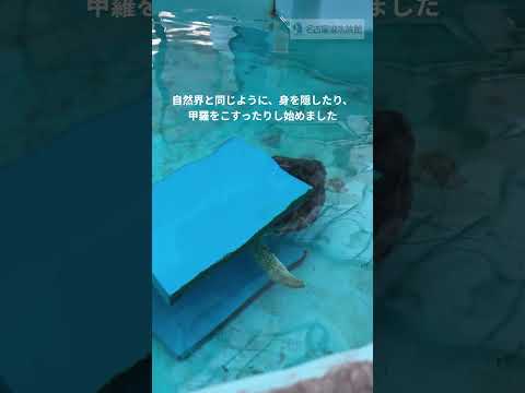 環境の一工夫   shots サムネイル