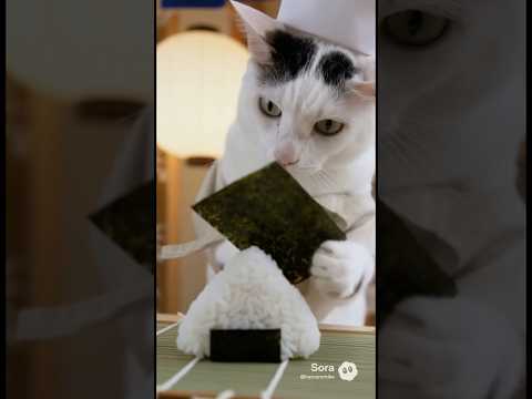 話題沸騰！チロさんのユニークなおにぎり作り #shorts #ai