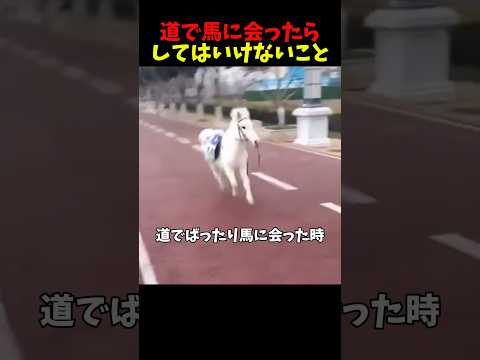 道で馬に会うと起こる事件 サムネイル