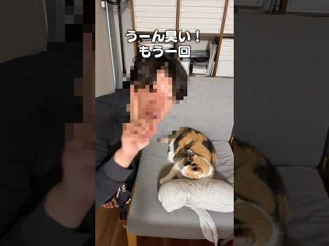 「猫のお口がクチャイニーハオ」猫あるある|フルはApple Musicほか音楽アプリへ サムネイル