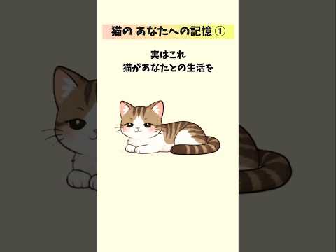 猫が一生忘れない飼い主の記憶【10選①】 猫 雑学 豆知識 トリビア