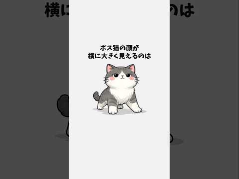 【ボス猫の豆知識🐈】見た目は怖いのになぜか慕われるボス猫の秘密①【計50選】 猫 雑学 トリビア ボス猫 音声「VOI…