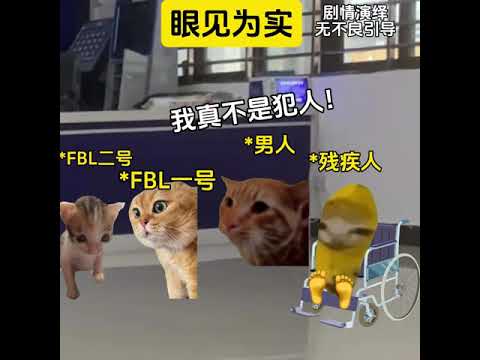 眼见为实 有趣 猫meme 猫meme剧场 猫meme小剧场 内容过于真实  故事 貓 猫猫meme小剧场 喵不可言 サムネイル