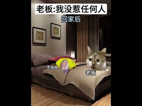 老板自言自语的说：“难道我真这么丑吗“ 有趣 猫meme 猫meme剧场 猫meme小剧场 内容过于真实  故事 貓… サムネイル