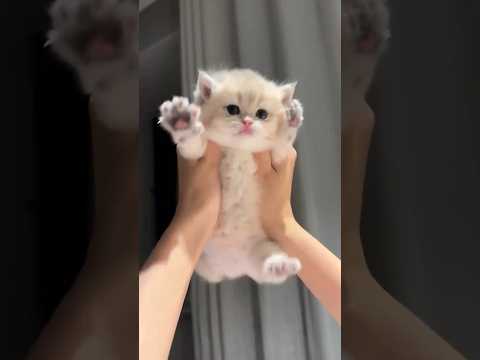 かわっ😍かわいっ😘 サムネイル