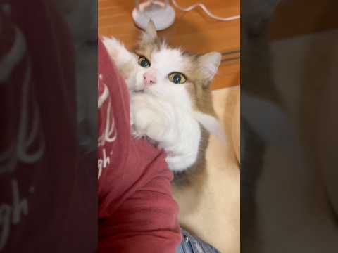 なになになに、どうしたん？ サムネイル