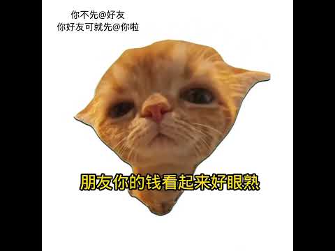 朋友，你的钱看起来好眼熟。 有趣 猫meme 猫meme剧场 猫meme小剧场 内容过于真实  故事 貓 猫猫meme… サムネイル