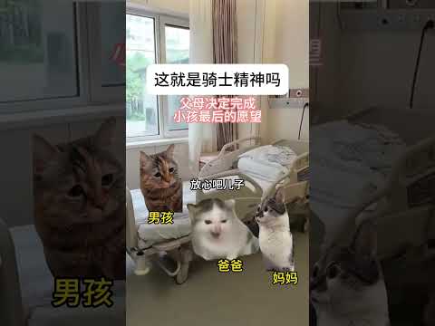 这就是骑士精神吗 有趣 猫meme 猫meme剧场 猫meme小剧场 内容过于真实  故事 貓 猫猫meme小剧场 喵… サムネイル