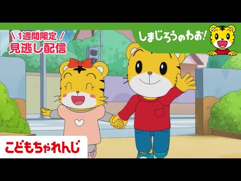 話題の神回！「しまじろうのわお！」12月13日放送の見逃し配信