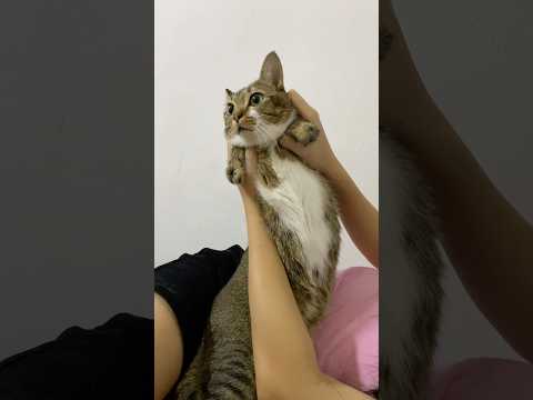 Tutu’s stretching — watch all you want! サムネイル