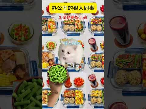 不能只有我有这样的同事吧 有趣 猫meme 猫meme剧场 猫meme小剧场 内容过于真实  故事 貓 猫猫meme小…