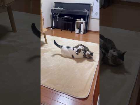 勝てるはずやったのに サムネイル