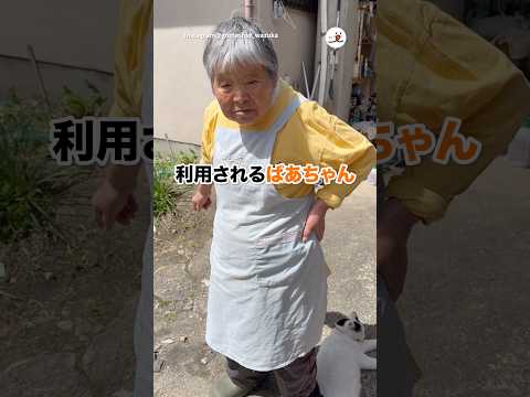 おばあちゃんの影を利用する猫｜PECO サムネイル