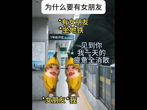为什么要有女朋友  有趣 猫meme 猫meme剧场 猫meme小剧场 内容过于真实  故事 貓 猫猫meme小剧场… サムネイル