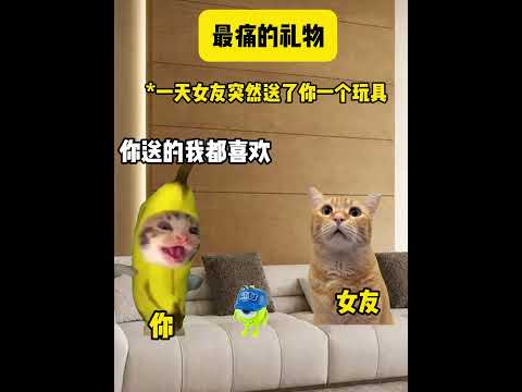 最痛的礼物 有趣 猫meme 猫meme剧场 猫meme小剧场 内容过于真实  故事 貓 猫猫meme小剧场 喵不可言
