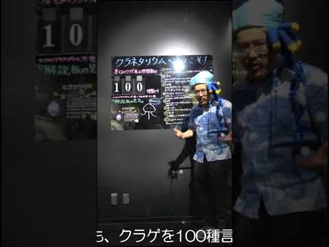 新生　加茂水族館のここがすごいよ！ 水族館 加茂水族館 aquarium Dr.クラゲさん サムネイル