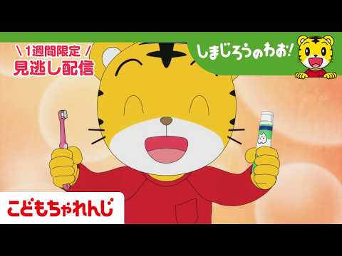 【見逃し配信】テレビ番組「しまじろうのわお！」 6月6日放送 ｜はみがき シュッシュッ！｜727【しまじろうチャンネル… サムネイル