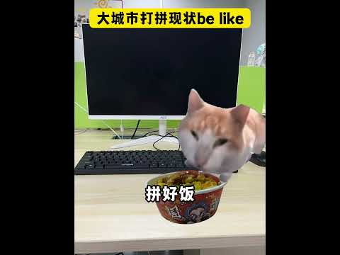 大城市打拼现状be like 有趣 猫meme 猫meme剧场 猫meme小剧场 内容过于真实  故事 貓 猫猫mem… サムネイル