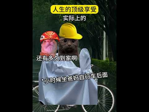 当时只道是寻常 有趣 猫meme 猫meme剧场 猫meme小剧场 内容过于真实  故事 貓 猫猫meme小剧场 喵不… サムネイル