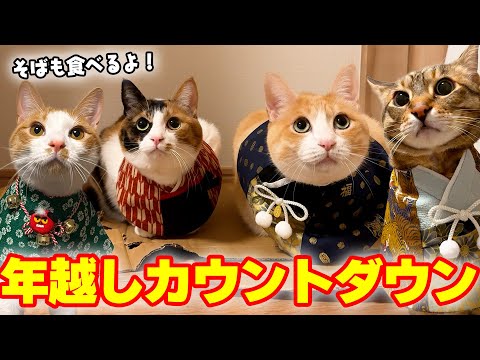 【🐈＜配信】猫たちと2026年を迎えよう！！新年カウントダウン生放送！そばも作って食べて飲むぞ〜！！ サムネイル