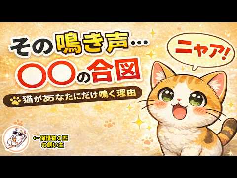 猫の鳴き声に隠された【魂のメッセージ】猫があなたにだけ話しかける本当の理由 猫 雑学 豆知識 トリビア サムネイル