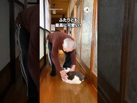 最高に可愛いふたり👴🐱｜PECO サムネイル