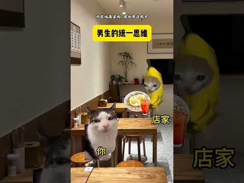 男生的统一思维 有趣 猫meme 猫meme剧场 猫meme小剧场 内容过于真实  故事 貓 猫猫meme小剧场 喵不… サムネイル