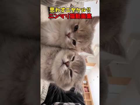 ニンマリ☺☺☺ サムネイル