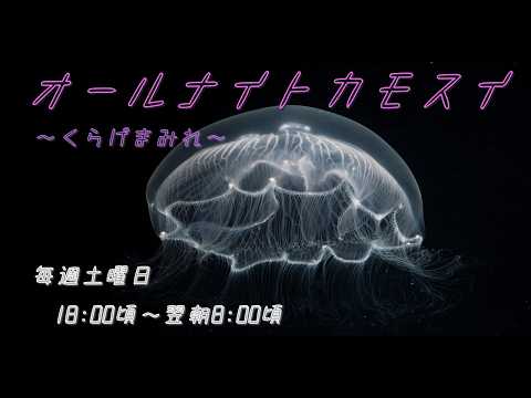 オールナイトカモスイ　～くらげまみれ～ 246 　ナンヨウミズクラゲ サムネイル