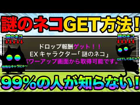 謎のネコのGET方法を紹介します！特殊なGET方法がヤバい！ほとんどの人が挑戦できない幻のステージ知ってる！？99%が… サムネイル