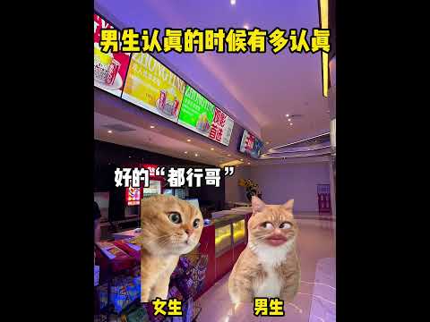 男生认真的时候有多认真有趣 猫meme 猫meme剧场 猫meme小剧场 内容过于真实  故事 貓 猫猫meme小剧场… サムネイル