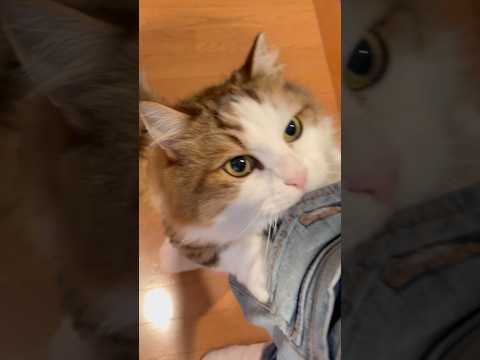 お父さん、おかえり〜