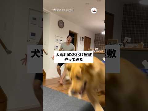 家で肝試し！｜PECO