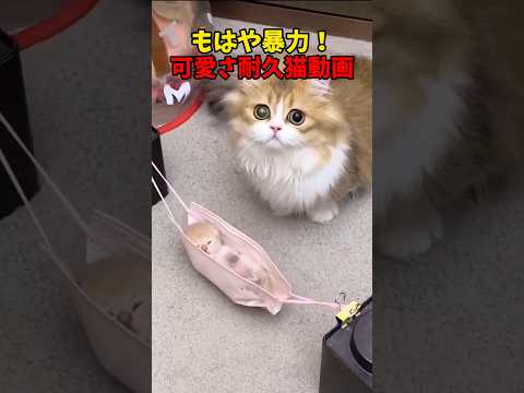 あなたは耐えられるか！？ サムネイル