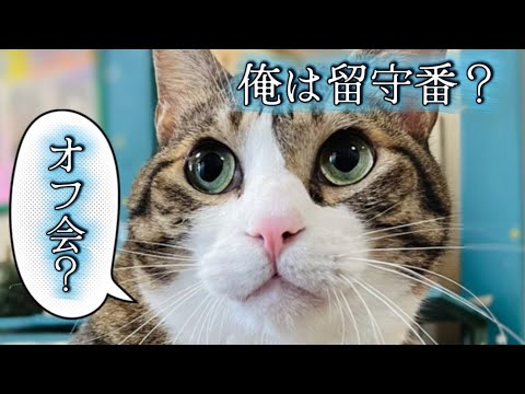 球太の第一回オフ会は…⚠️閲覧注意 サムネイル