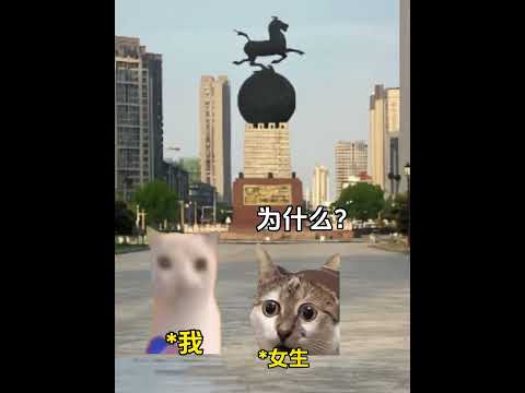 兄弟为什么不找女朋友 有趣 猫meme 猫meme剧场 猫meme小剧场 内容过于真实  故事 貓 猫猫meme小剧场… サムネイル