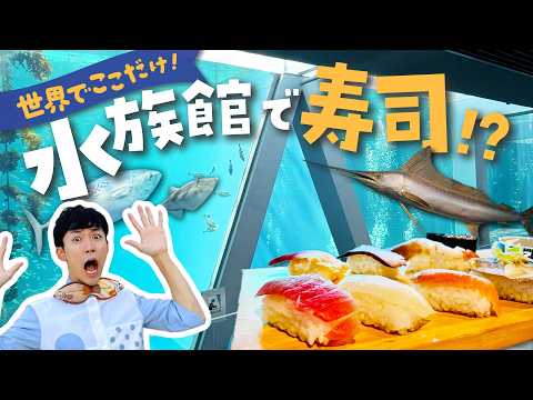 日本一の水族館へ!アクアマリンふくしまを徹底解説ツアー【夏休みにオススメ】