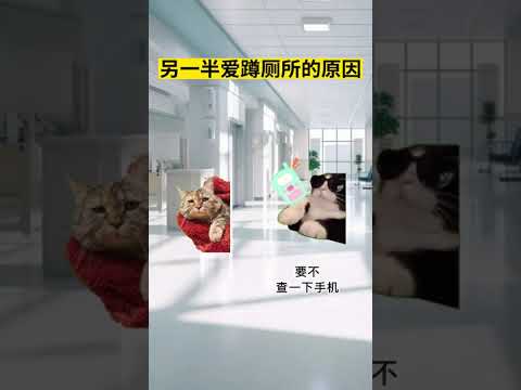 究竟是什么原因？ 有趣 猫meme 猫meme剧场 猫meme小剧场 内容过于真实  故事 貓 猫猫meme小剧场 喵…