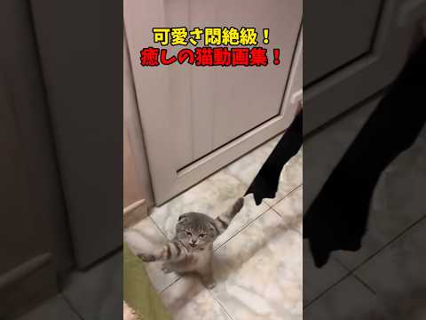 ぐぬあぁあああ！