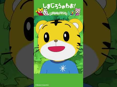 ぽんたろう おとなになる!?(前編)|友達│しまじろうのわお!アニメ │ しまじろうチャンネル公式 幼児子どもしまじろ…