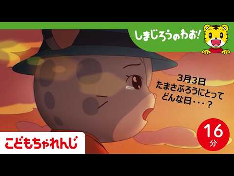 【16分アニメ】あしたは　なんのひ？│ひな祭り│誕生日│友情│しまじろうのわお！アニメ│しまじろうチャンネル公式 サムネイル